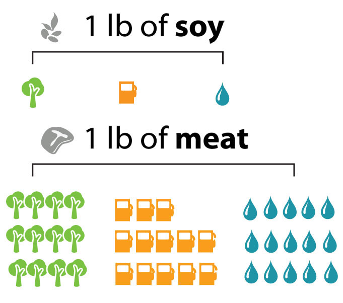 Protect_Planet_Vegetarian_Meals6