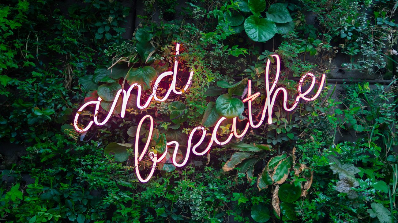 neon sign on top on plant wall, reading "and breathe"