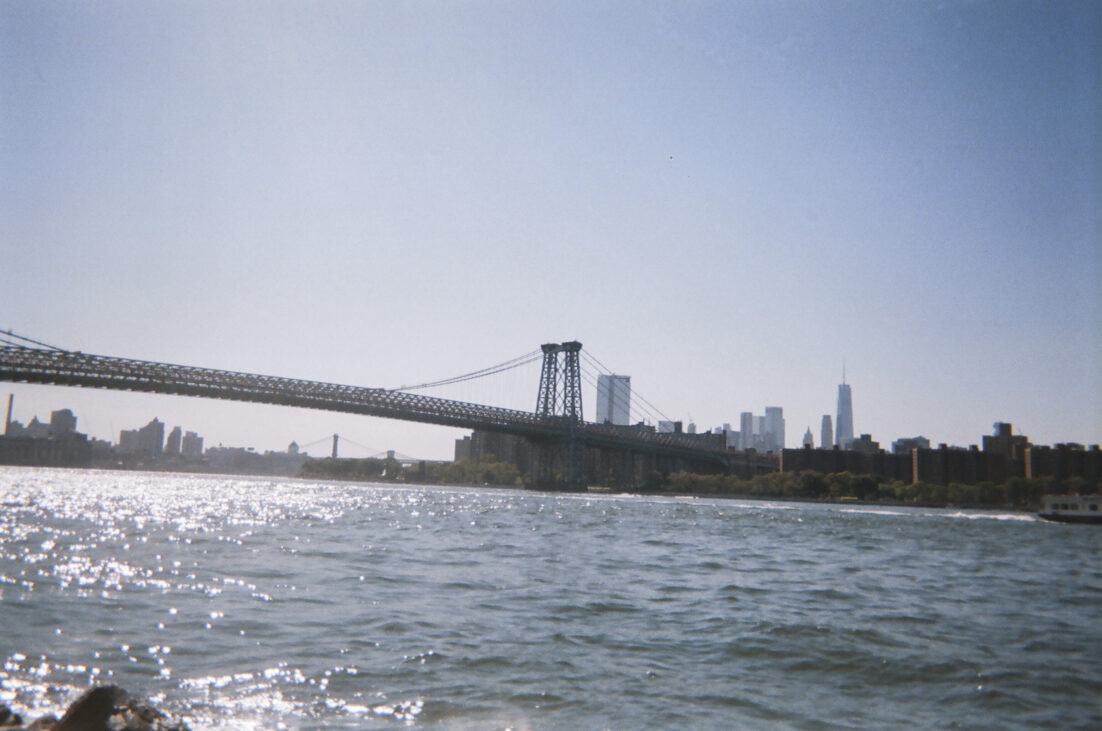 Throwback: NYABF 2019 Throwback: NYABF 2019