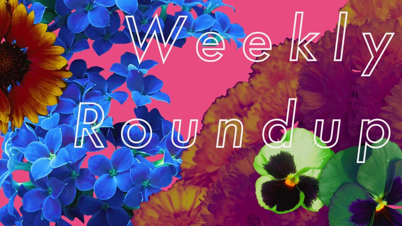 Weekly Roundup