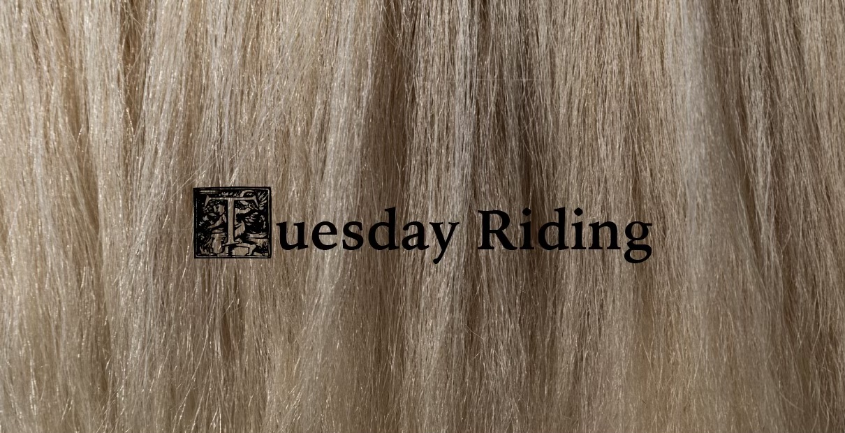 Tuesday Riding Tuesday Riding