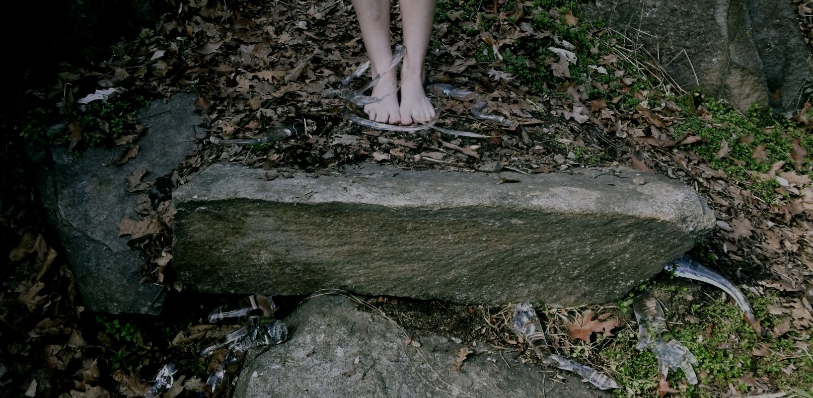 "Treedom" is a series of photographs depicting roots gathering up a woman's legs. This series represents the idea of escaping and "planting oneself" in solitude, particularly within nature.