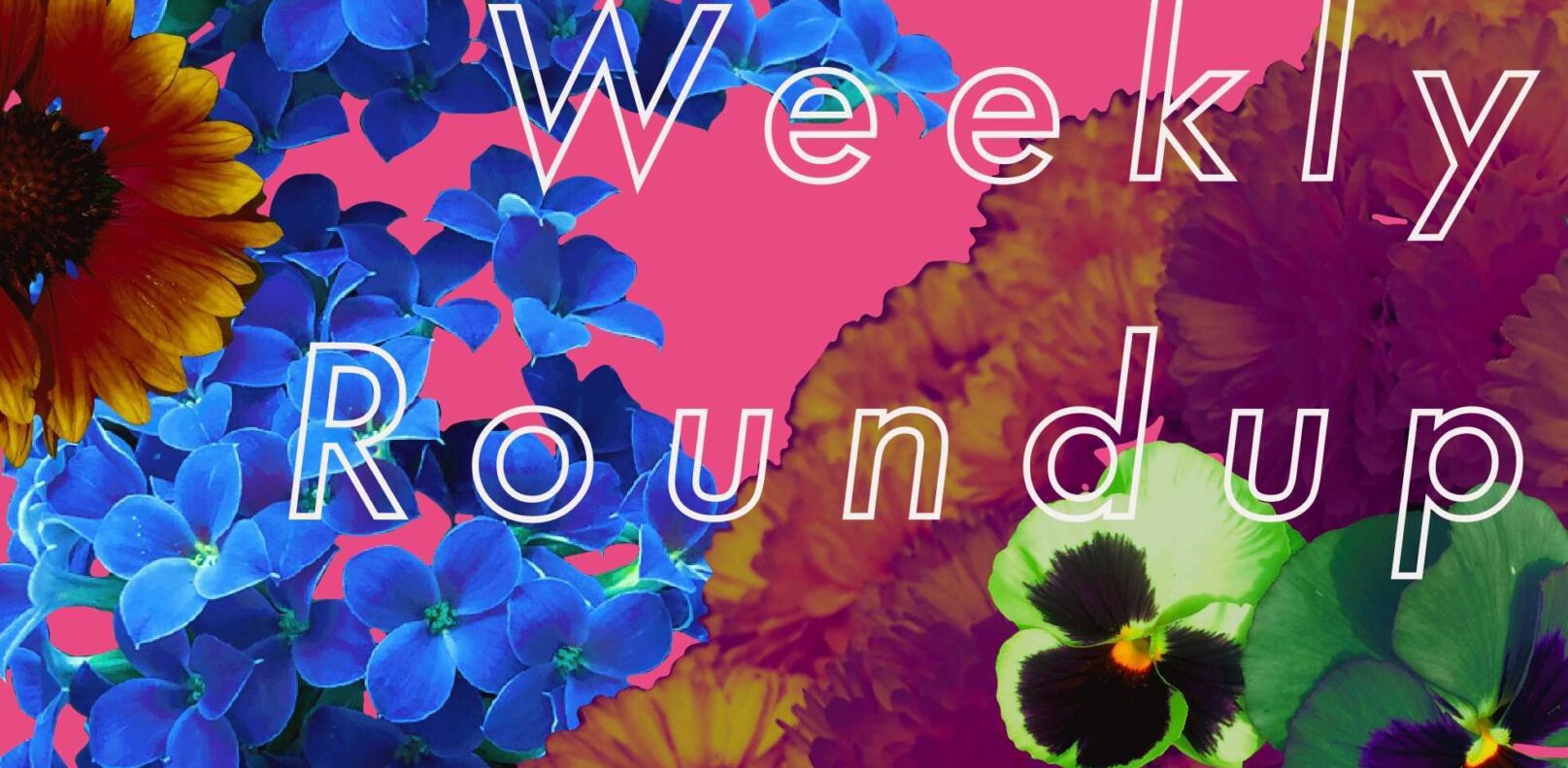 weekly roundup