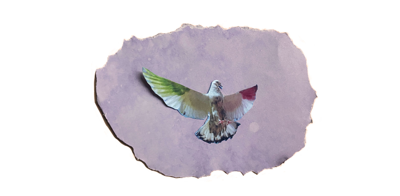 Ink Dove (Web) 1920x1080