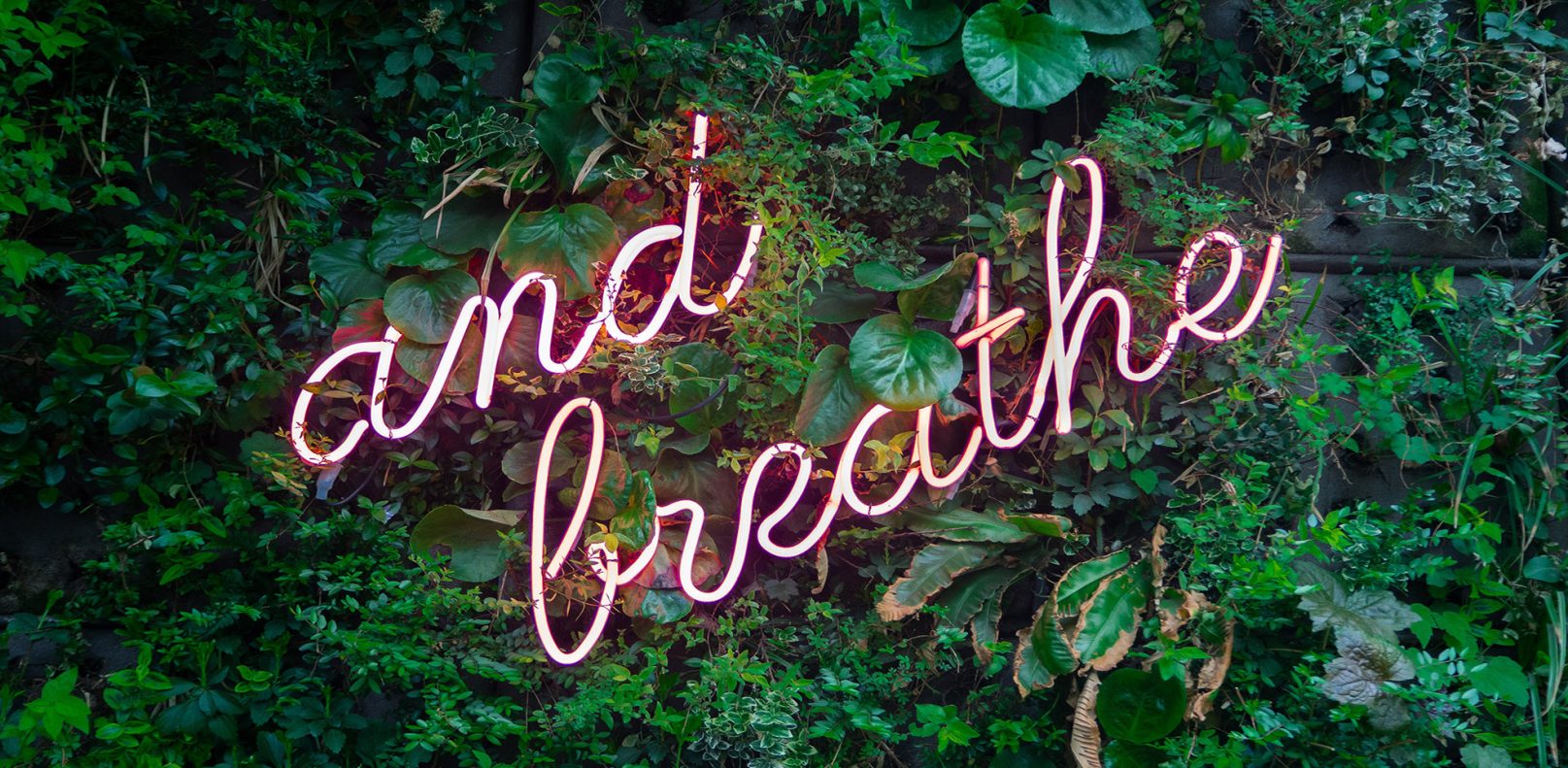 neon sign on top on plant wall, reading "and breathe"